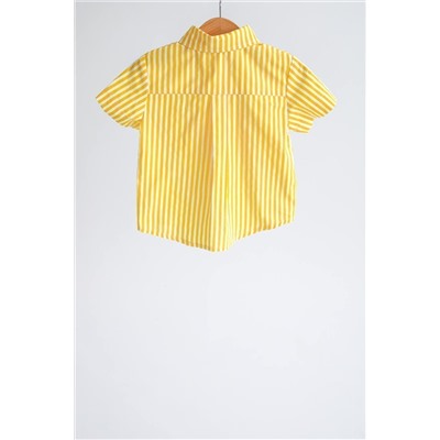 Рубашка ECO короткий рукав полоска одуванчик